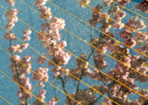 Barriedale, London, SE4