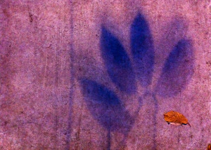 Champion Hill Estate, London, SE5