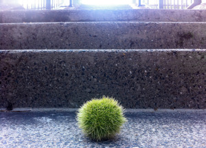 Heygate Estate, London, SE17