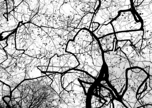 St. Giles Churchyard, Camberwell, London, SE5