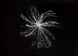 Warner Road, London, SE5